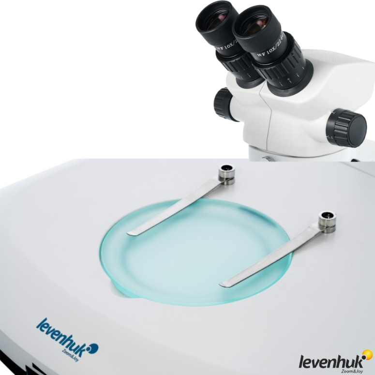LEVENHUK ZOOM 1B Binoküler Mikroskop - 76056